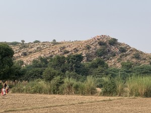 <div class="ug-textpanel-title-custom">From afar</div>