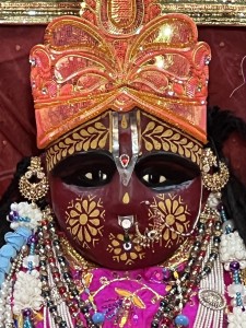 <div class="ug-textpanel-title-custom">Primordial Deity of Vrinda-devi</div>