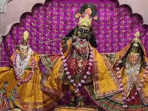 <div class="ug-textpanel-title-custom">Sri Radha-Govindadeva</div>