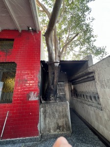 <div class="ug-textpanel-title-custom">Bhuteshvara Mahadeva mandir</div>